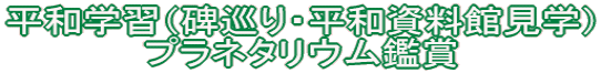 ���a�w�K�i�菄��E���a�����ٌ��w�j �v���l�^���E���ӏ�